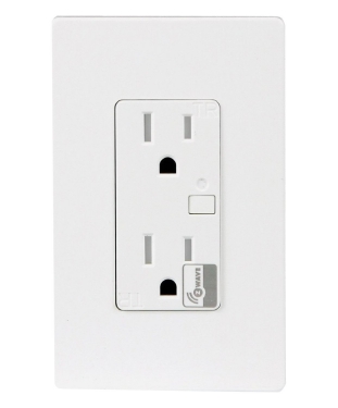 ../../../_images/enerwave_duplex_receptacle_zw15r.jpg